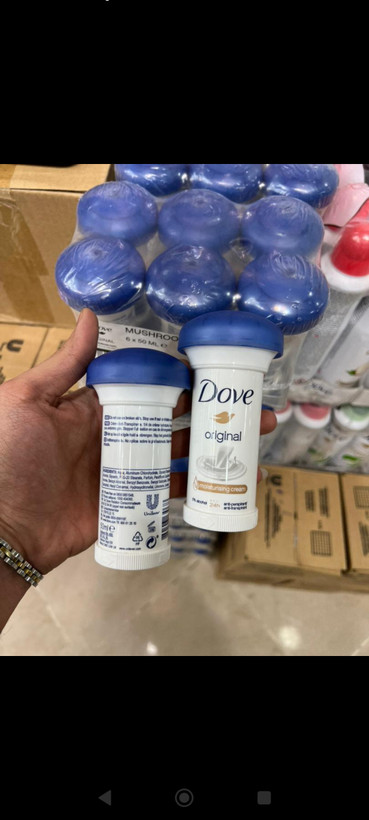 مام داو قارچی پخش عمده و تک