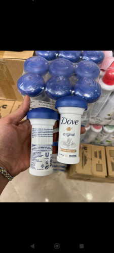 مام داو قارچی پخش عمده و تک